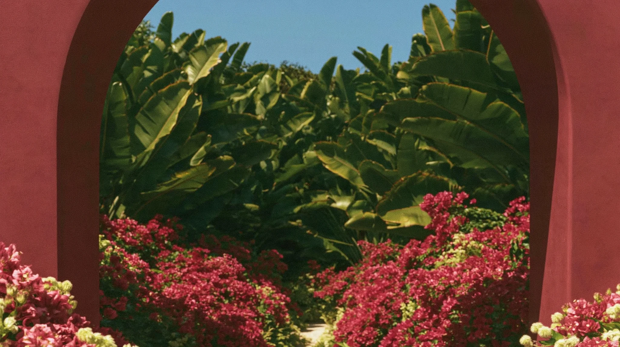 A tropical garden framed by a pink archway