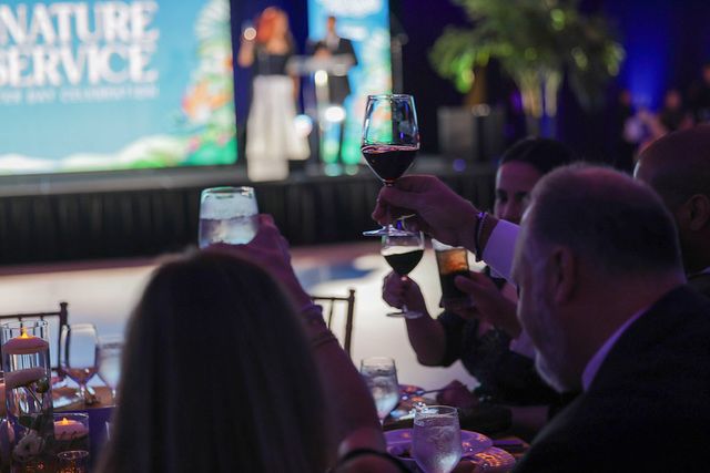 BLUE Missions Gala guests raising their glasses in a toast