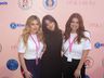 Camila Cabello posing with two women at the Pink Grove step-and-repeat